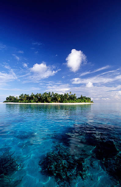istock Maldives, Huvadhoo atoll, Island. 183020355