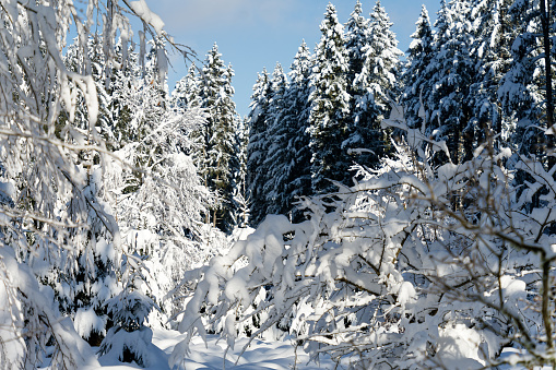 View of a Bavarian winter landscape with lots of snow, blue sky with clouds on a cold winter day, outdoor germany