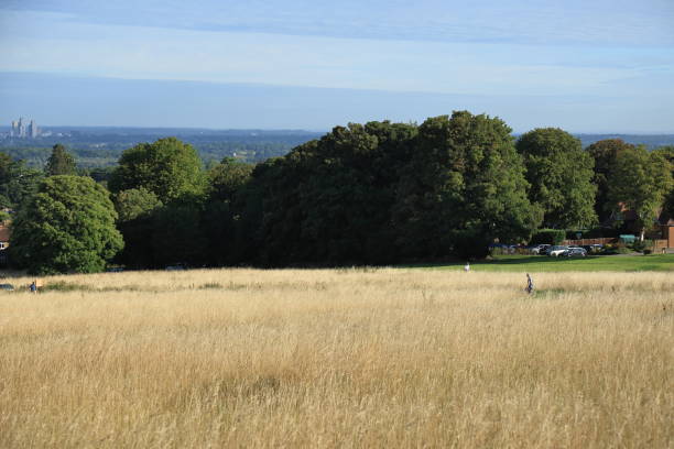 istock Merrow Downs park Guildford Surrey England 1830207767
