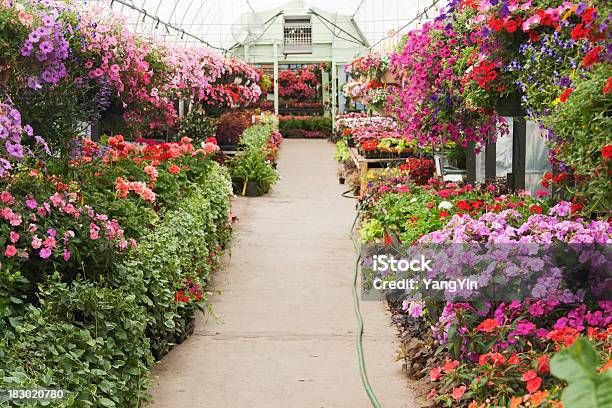 Pubblicazioni Annuali Vasi Di Fiori In Giardino Centro Cesti Pendente Visualizzare In Serra - Fotografie stock e altre immagini di Centro per il giardinaggio