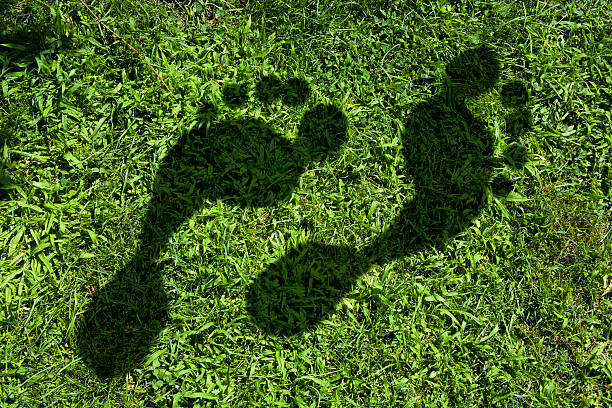 Shadow Footprint