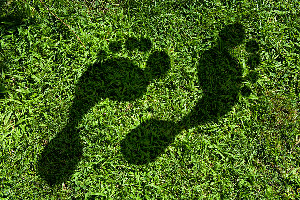 Carbon footprint imprinted in the grass Shadow Footprint carbon footprint stock pictures, royalty-free photos & images