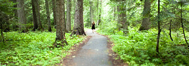 lone figura em um vestido preto longo caminho de floresta caminhada - cedar tree tree montana woods imagens e fotografias de stock