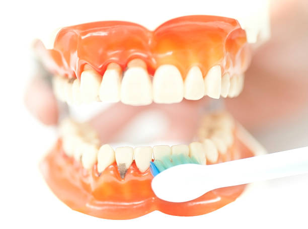 набор зубы с зубная щётка - dentures human teeth stack laboratory стоковые фото и изображения