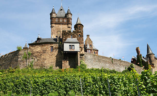 istock Reichsburg castle in Cochem at river Mosel with vineyard 183022272