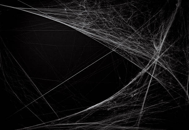 background full of cobwebs halloween background with faux cobwebs. black backgorund stock pictures, royalty-free photos & images