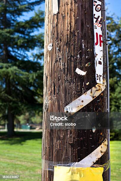 Photo libre de droit de Staples Ongles Et Les Vis En Un Sondage banque d'images et plus d'images libres de droit de Poteau électrique - Poteau électrique, En bois, Publicité