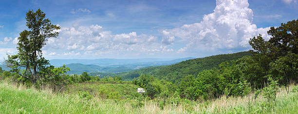 paisagem de primavera - treelined tree shenandoah river valley blue ridge mountains imagens e fotografias de stock