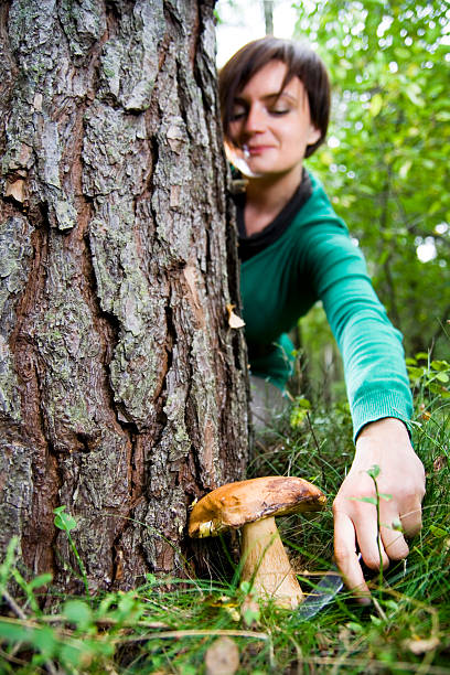 Young woman picking a mushroom (bolete). Shallow depth of field, focus is set at the mushroom.