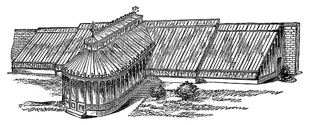 19th century engraving of a victorian greenhouse photographed from a book titled the 'National Encyclopedia', published in London in 1881. Copyright has expired on this artwork. Digitally restored. kew gardens stock illustrations