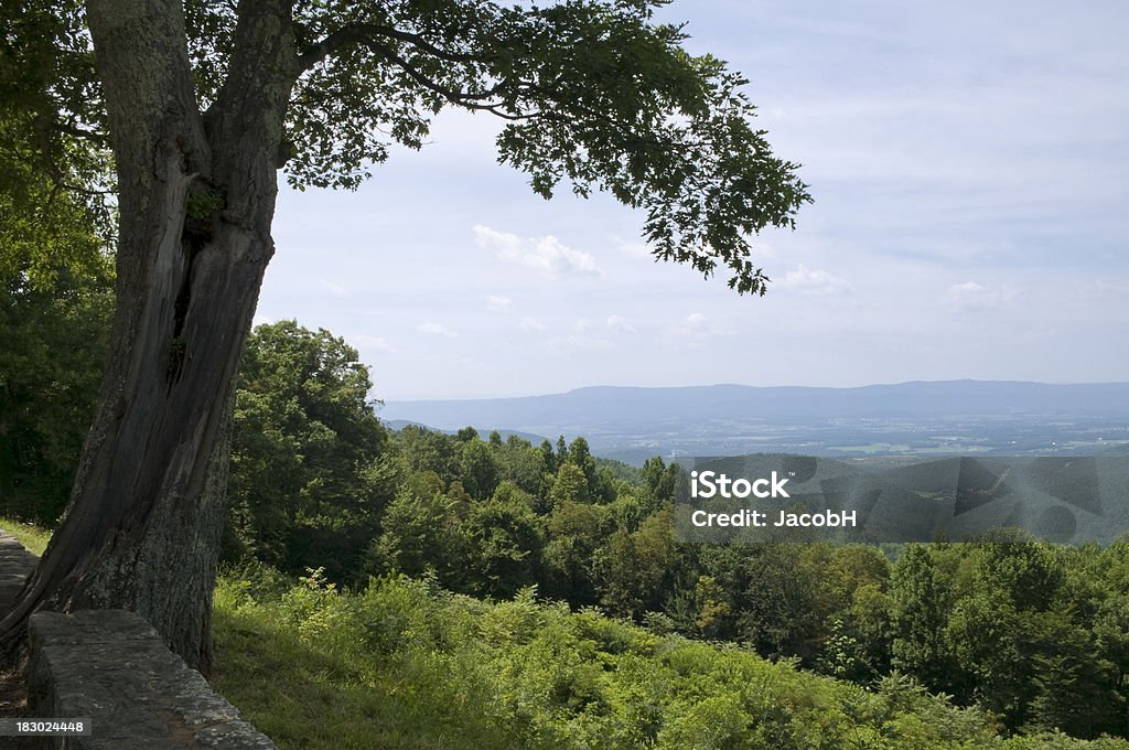 Vallée de Shenandoah - Photo de Arbre libre de droits