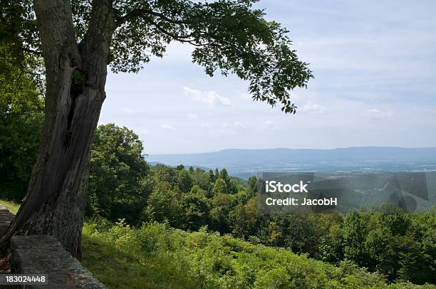 Photo libre de droit de Vallée De Shenandoah banque d'images et plus d'images libres de droit de Arbre - Arbre, Bleu, Blue Ridge Parkway - Appalaches