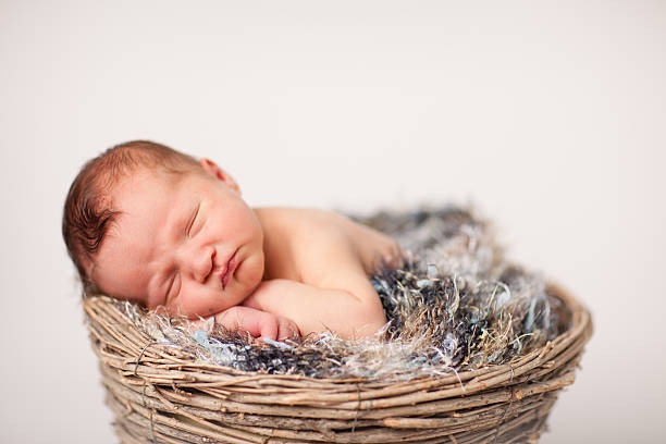 istock Newborn Baby Sleeping in Basket on Fuzzy Texture 183024722