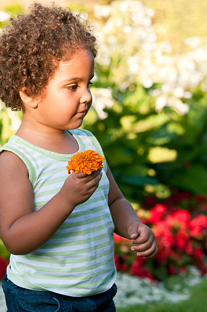 istock Child (3-4) is Holding an Orange Daisy Flower, Vertical 183024748