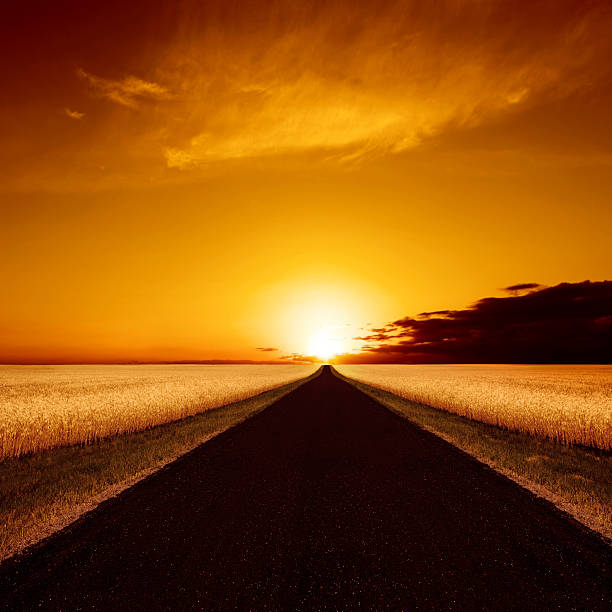 xxxl strada di campagna al tramonto - manitoba prairie landscape canada foto e immagini stock