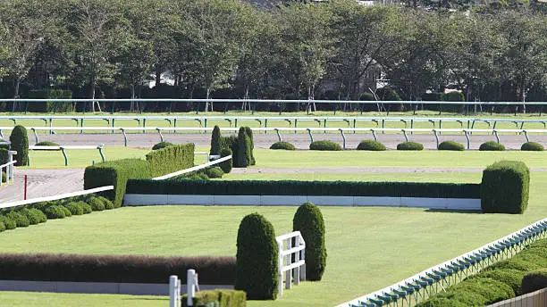 Turf Steeplechase track in racecourse.