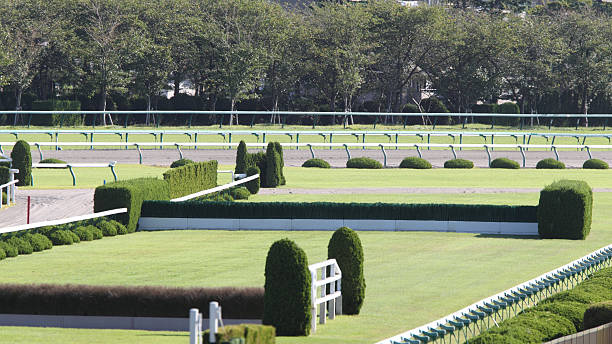 steeplechase course - steeplechasing - fotografias e filmes do acervo