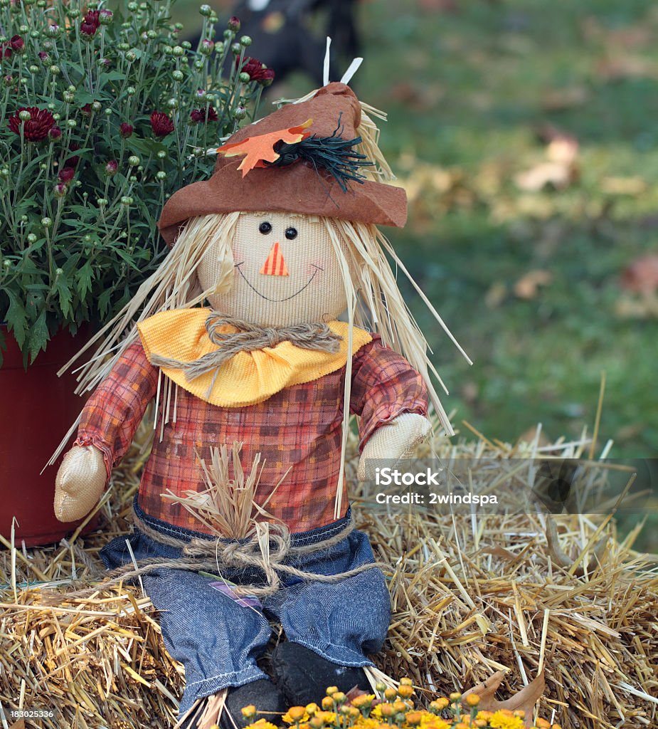 Scarecrow Doll An autumn decoration scarecrow doll sits on a hay bale.  Copy space to the right. Autumn Stock Photo