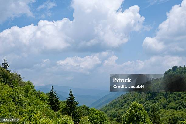 Foto de Great Smokey Montanhas e mais fotos de stock de Appalachia - Appalachia, Arbusto, Azul