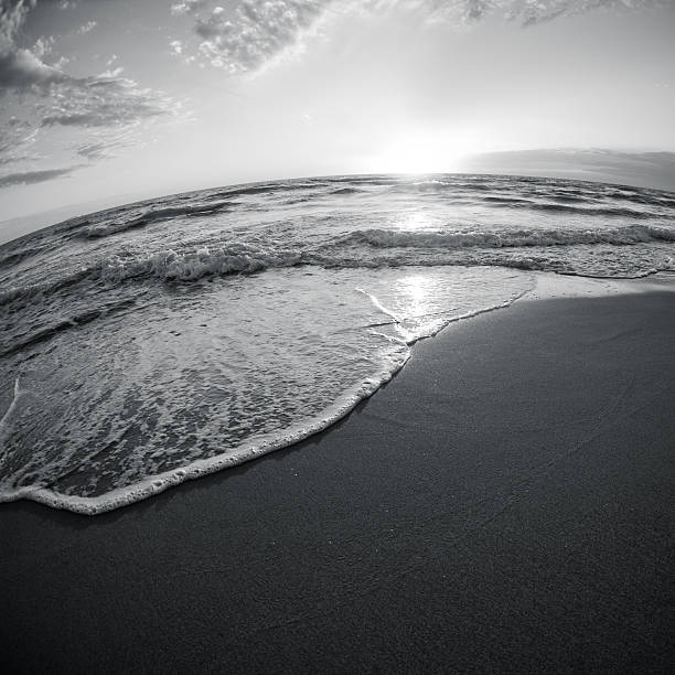 istock Beach seascape in black and white, fish-eye lens 183025557
