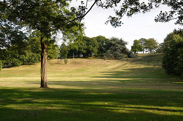 istock Greenwich Park, London 183025939