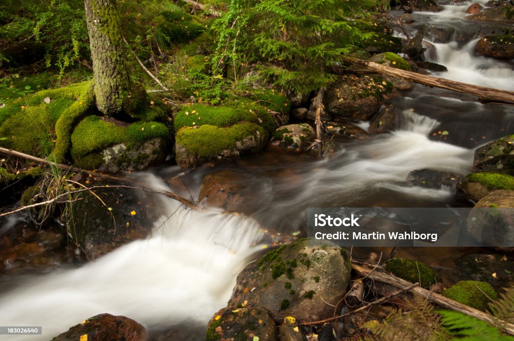 Streaming di acqua - Foto stock royalty-free di Acqua