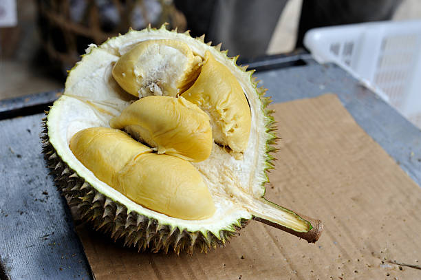 durian a half opened durian in the wet market. Durian is a tropical fruit and is commonly known as King of fruits in south east asia. The harden and thorny skin and the extremely strong odor makes eating durian an unforgettable experience for those tasting it for the first timer. pics of a spiky fruit stock pictures, royalty-free photos & images