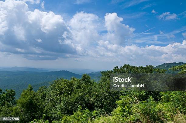Monti Blue Ridge - Fotografie stock e altre immagini di Albero - Albero, Ambientazione esterna, Appalachia