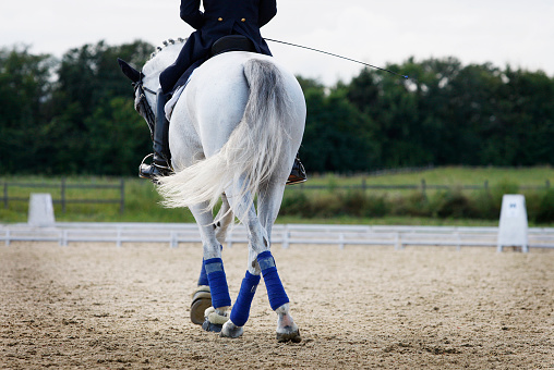 Dressage horse with jockey in jumping course