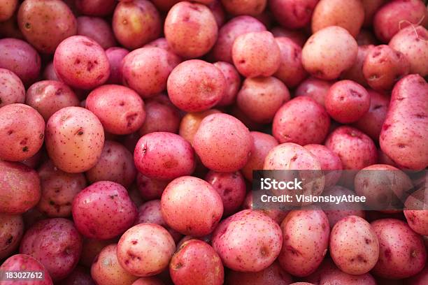 A Large Amount Of Small Red Skin Potatoes Stock Photo - Download Image Now - Red Potato, Food, Food Staple