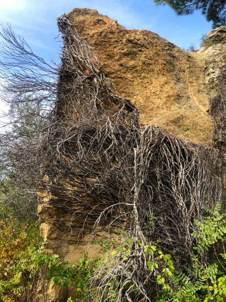 Gargaron ancient city, stone, ancient, prehistoric, Anatolia stock photo