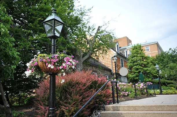 "Street lamp and hanging flowers in Princeton, New Jersey"