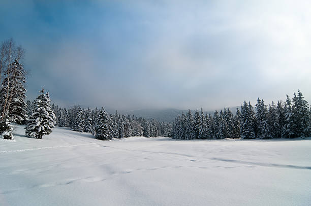 istock Winter Landscape with Snow and Trees 183028361