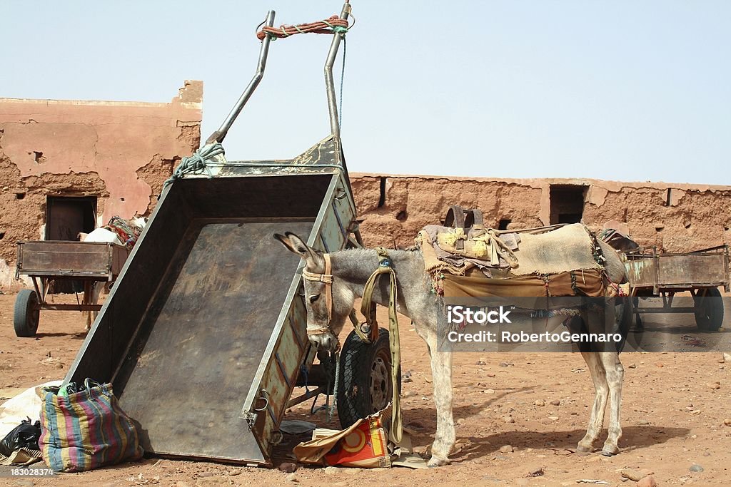 Van marroquino - Foto de stock de Animal de Fazenda royalty-free