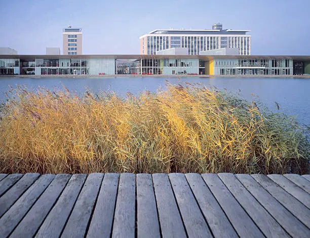"Modern idyllic office park with lake, reed grass and walkway in front. Image shot in The Netherlands. High-end scan of 6x7 cm transparency.View more related images in one of the following lightboxes:"