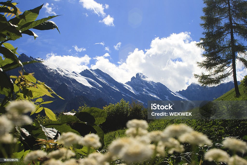 Widok na Alpy Szwajcarskie, Gimmelwald - Zbiór zdjęć royalty-free (Alpy)
