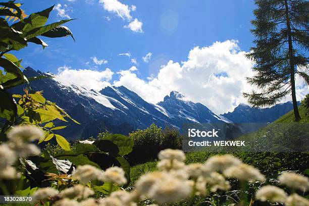 Widok Na Alpy Szwajcarskie Gimmelwald - zdjęcia stockowe i więcej obrazów Alpy - Alpy, Berneński Oberland, Bez ludzi