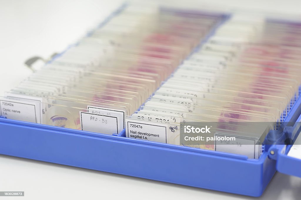 Spécimen diapositives - Photo de Biologie libre de droits