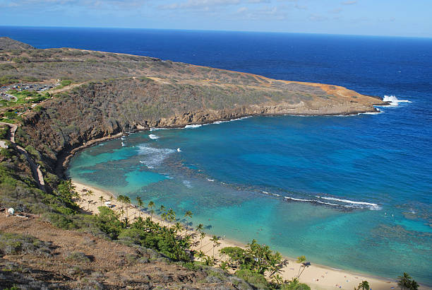 istock Hanauma Bay East Rim, Oahu 183029161