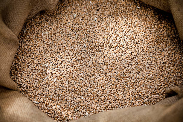 istock Full bag of wheat grains 183029735