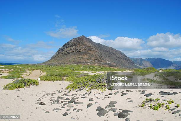 Kaena Punto Escursioni A Oahu - Fotografie stock e altre immagini di Albatro - Albatro, Alpinismo, Ambientazione esterna