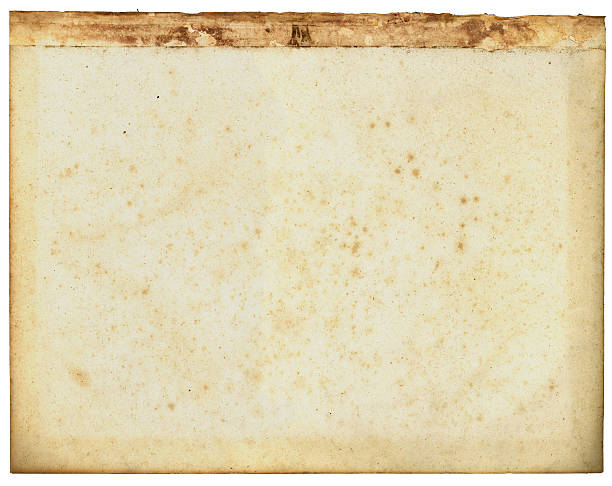 viejo papel con fijación delantera y foxing manchas - paper old vellum book fotografías e imágenes de stock