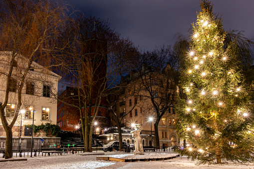 Stockholm, Sweden A Christmas tree on Mosebacke Torg, or Mosebacke Square at night.