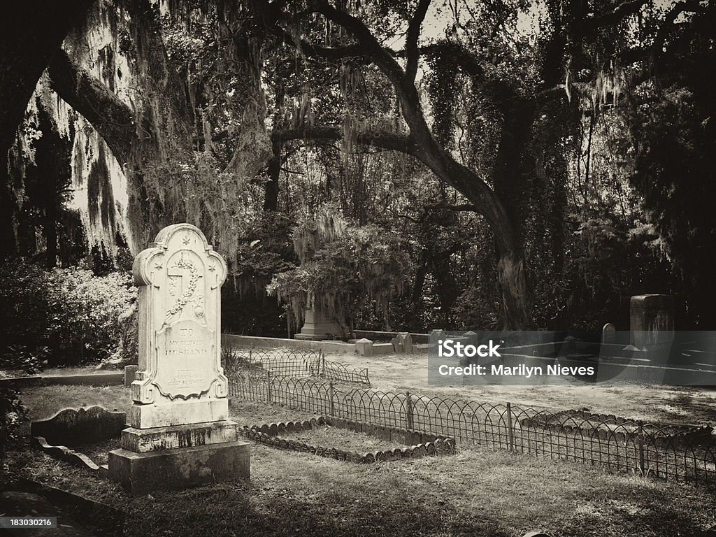 Gród Cmentarz w savannah - Zbiór zdjęć royalty-free (Bonaventure Cemetery)