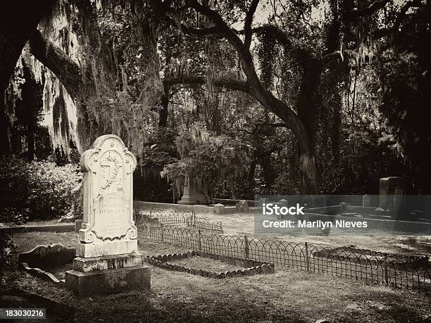 Gród Cmentarz W Savannah - zdjęcia stockowe i więcej obrazów Bonaventure Cemetery - Bonaventure Cemetery, Savannah - Stan Georgia, Cmentarz