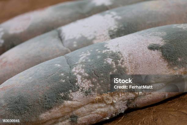 Molde De Pan Foto de stock y más banco de imágenes de Al horno - Al horno, Alimento, Antihigiénico