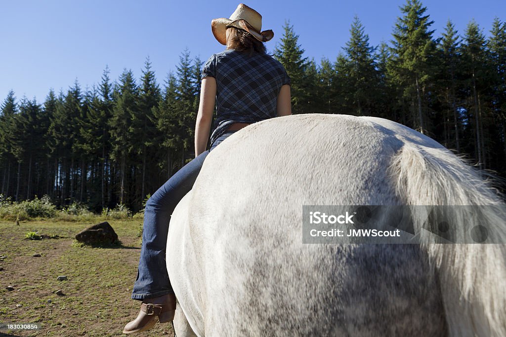 Mädchen auf Pferd - Lizenzfrei Agrarbetrieb Stock-Foto