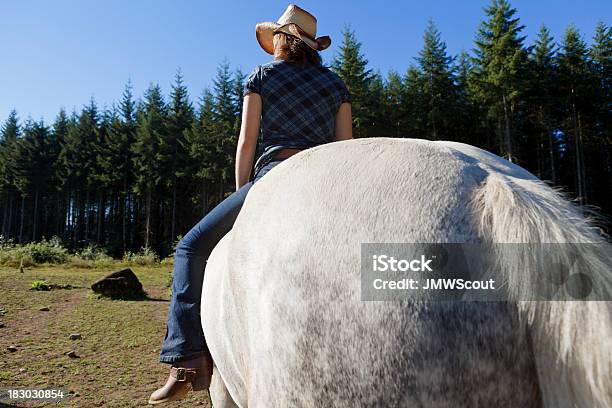 Mädchen Auf Pferd Stockfoto und mehr Bilder von Agrarbetrieb - Agrarbetrieb, Bewegung, Braunes Haar