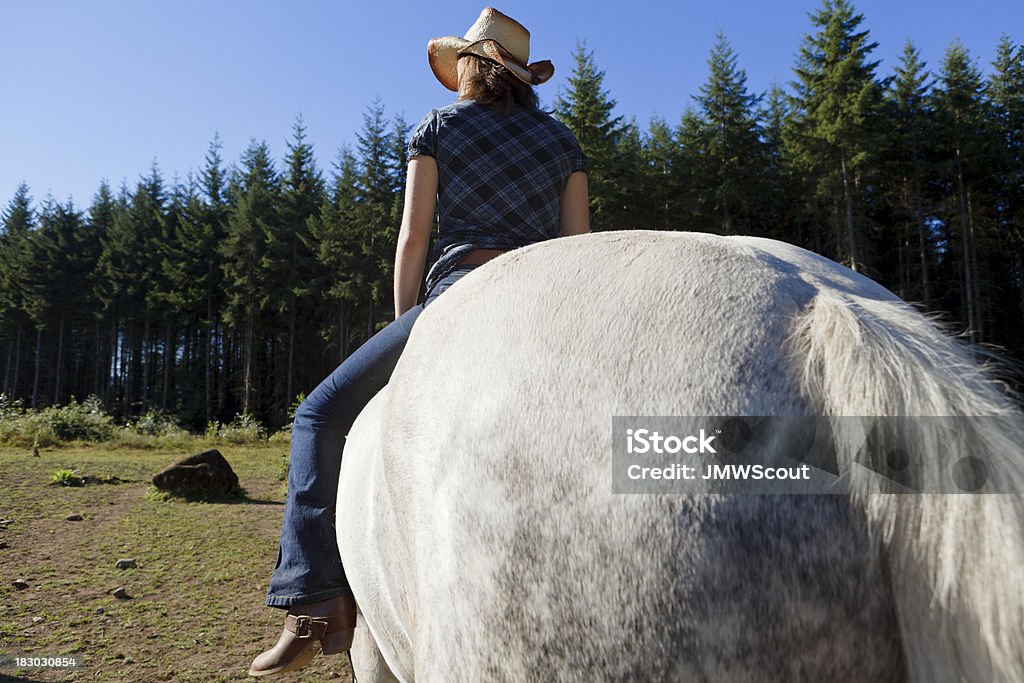 Garota em cavalo - Foto de stock de A caminho royalty-free