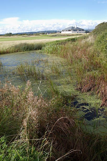 clubhouse no campo de golfe - 19th hole - fotografias e filmes do acervo